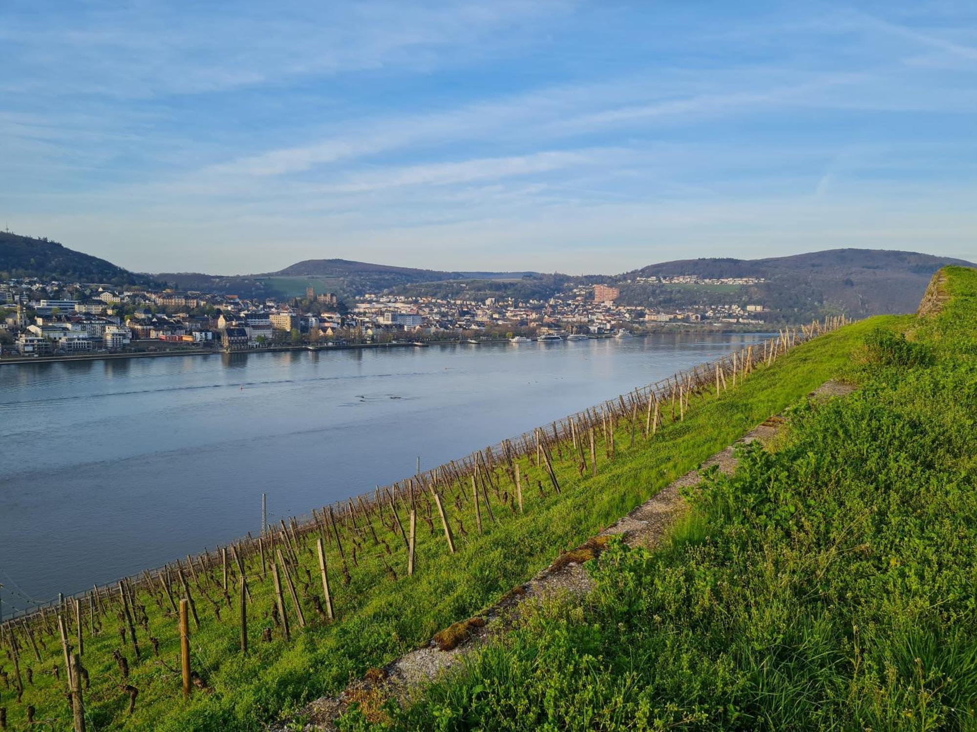 Ferienwohnungen Am Markt Rüdesheim am Rhein Kültér fotó